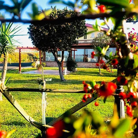 La Primula Corigliano Calabro