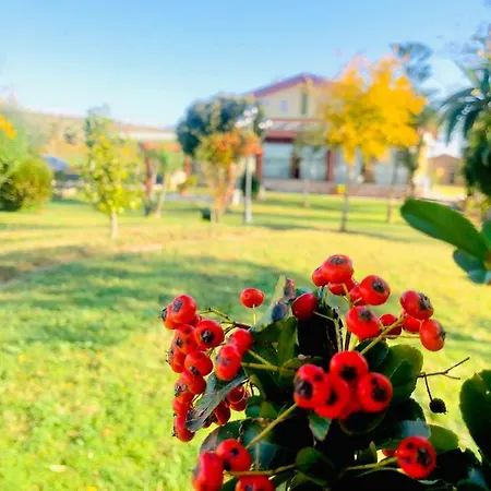 La Primula * Corigliano Calabro