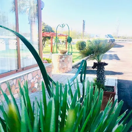 La Primula Hotel
