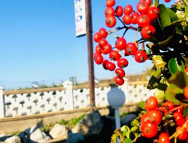 La Primula * Corigliano Calabro