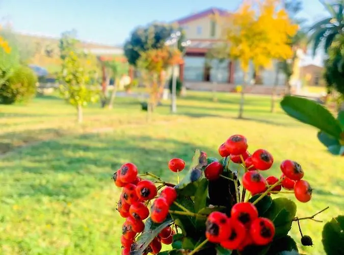 La Primula * Corigliano Calabro